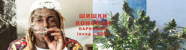 spice Богородицк